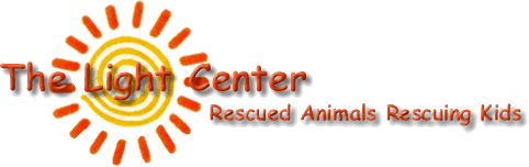 The Light Center